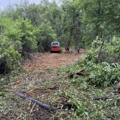 Land Clearing on the Iron Range